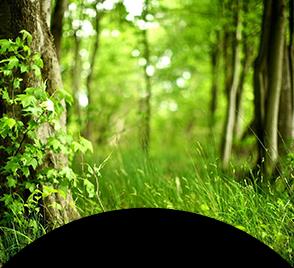 Aktif karbon s�gara filtresi